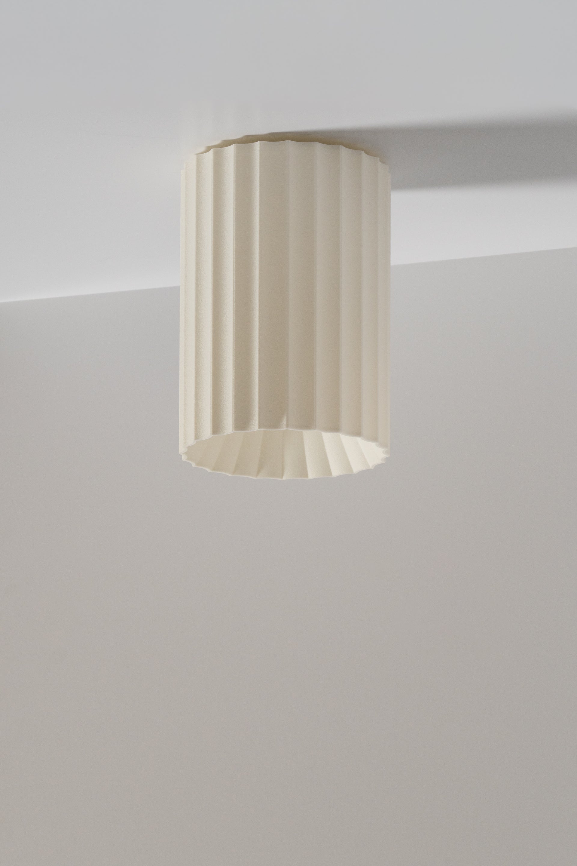 PALIA 07